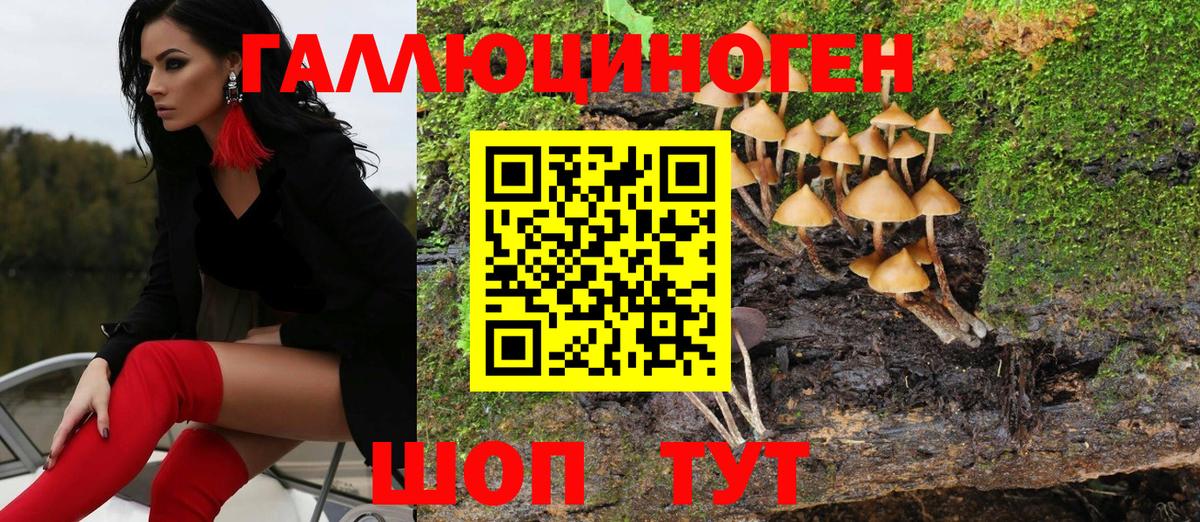 купить наркотики цена  Вход с VPN  Ангарск  Псилоцибиновые грибы MAGIC MUSHROOMS 